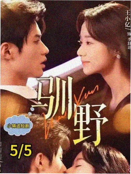 女囚档案东京篇纪录片